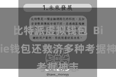 比特派虚拟钱包 Bitpie钱包还救济多种考据神志