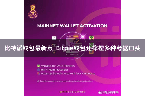 比特派钱包最新版  Bitpie钱包还撑捏多种考据口头