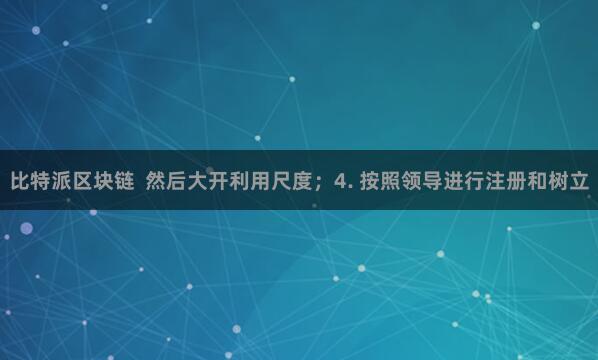 比特派区块链 然后大开利用尺度;4. 按照领导进行注册和树立