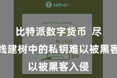 比特派数字货币  尽管离线建树中的私钥难以被黑客入侵