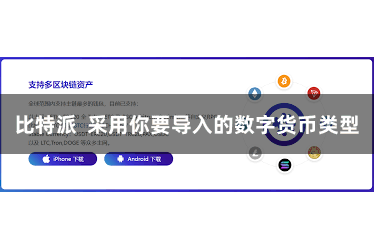 比特派  采用你要导入的数字货币类型