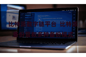 比特派数字链平台  比特派备份营救多种备份模式