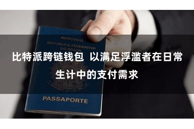比特派跨链钱包  以满足浮滥者在日常生计中的支付需求