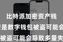 比特派加密资产钱包  若是数字钱包被盗可能会导致多量失掉